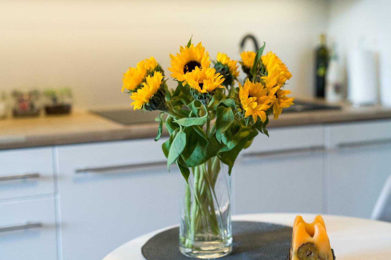 Sunflower Apartment Cracovie Extérieur photo